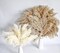 Fluffy Pompas Grass, Natural Dry Pampas Grass Small(Brown,white)